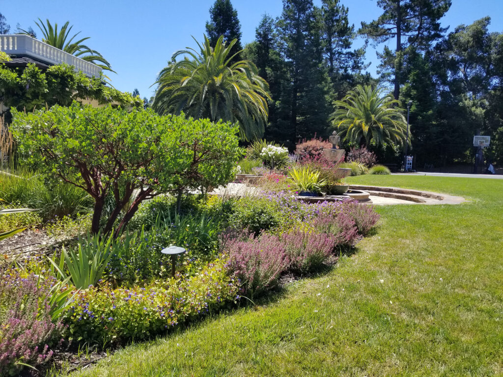 Custom Landscaping Design & Installation | Tamura Designs