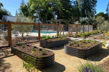 Landscaping Design & Installation Tamura Designs